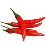 Pepper