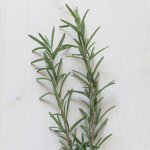 Rosmary