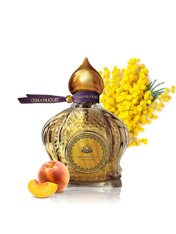 Aysel Perfume